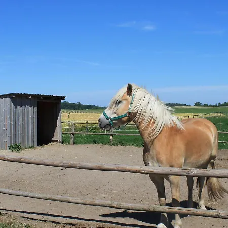 Cozy Guest On Mecklenburg Farm With Garden Holiday home Robertsdorf